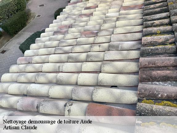 Nettoyage demoussage de toiture Aude 