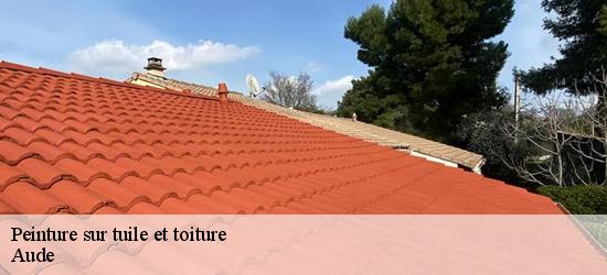 Peinture sur tuile et toiture Aude 