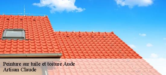 Peinture sur tuile et toiture Aude 