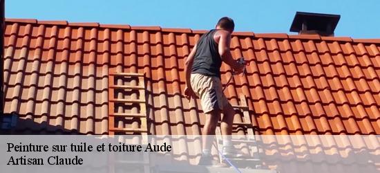 Peinture sur tuile et toiture Aude 