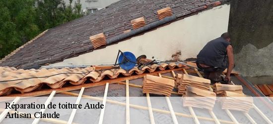 Réparation de toiture Aude 