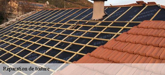 Réparation de toiture Aude 