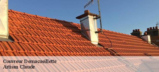 Couvreur  dernacueillette-11330 Artisan Medou