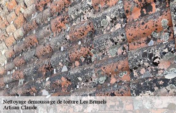 Nettoyage demoussage de toiture  les-brunels-11400 Couverture Medou