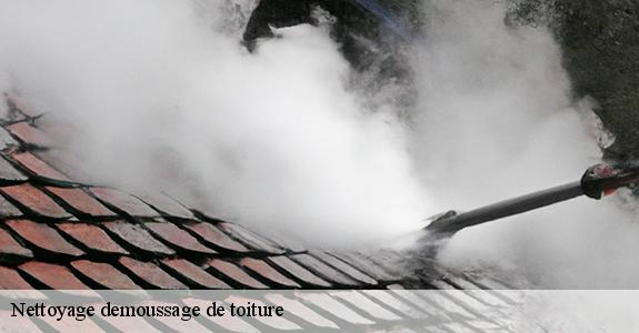 Nettoyage demoussage de toiture 11330