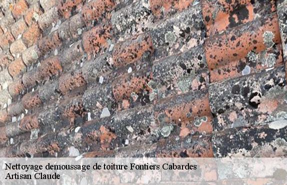 Nettoyage demoussage de toiture  fontiers-cabardes-11310 Couverture Medou