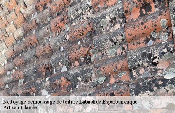 Nettoyage demoussage de toiture  11380