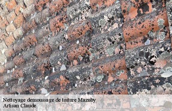 Nettoyage demoussage de toiture  mazuby-11140 Couverture Medou