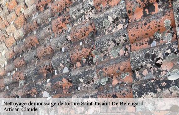 Nettoyage demoussage de toiture  saint-jusaint-de-belengard-11240 Artisan Medou