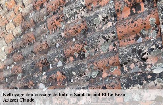 Nettoyage demoussage de toiture  saint-jusaint-et-le-bezu-11500 Couverture Medou
