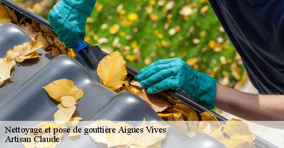 Nettoyage et pose de gouttière  aigues-vives-11800 Artisan Claude