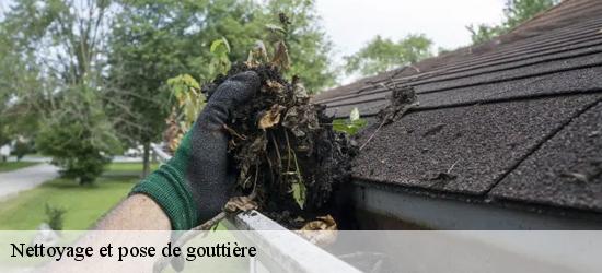 Nettoyage et pose de gouttière  11120