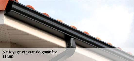 Nettoyage et pose de gouttière  11200