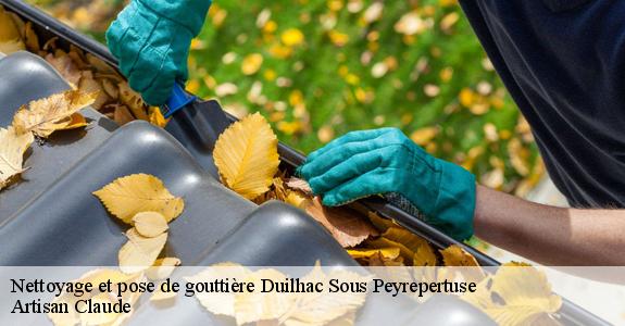 Nettoyage et pose de gouttière  duilhac-sous-peyrepertuse-11350 Artisan Claude
