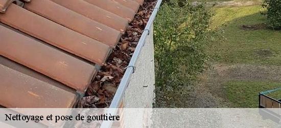 Nettoyage et pose de gouttière 11120