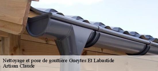 Nettoyage et pose de gouttière  11230