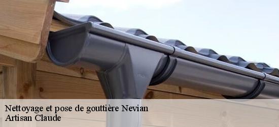 Nettoyage et pose de gouttière  11200