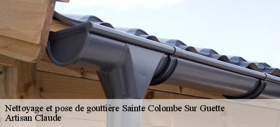 Nettoyage et pose de gouttière  sainte-colombe-sur-guette-11140 Couverture Medou
