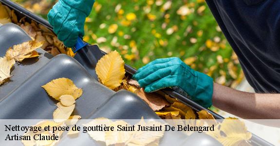 Nettoyage et pose de gouttière  saint-jusaint-de-belengard-11240 Artisan Claude