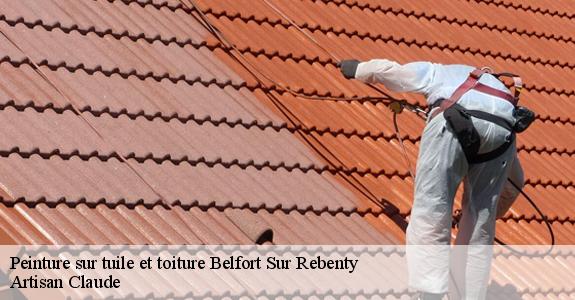Peinture sur tuile et toiture  belfort-sur-rebenty-11140 Artisan Claude