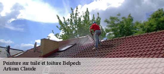 Peinture sur tuile et toiture  belpech-11420 Couverture Medou
