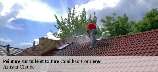 Peinture sur tuile et toiture  conilhac-corbieres-11200 Couverture Medou