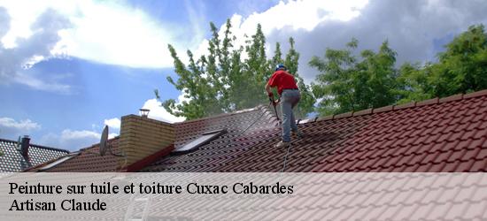 Peinture sur tuile et toiture  cuxac-cabardes-11390 Couverture Medou