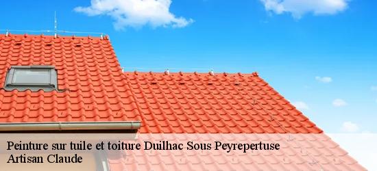 Peinture sur tuile et toiture  11350