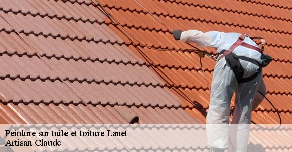 Peinture sur tuile et toiture  lanet-11330 Artisan Claude