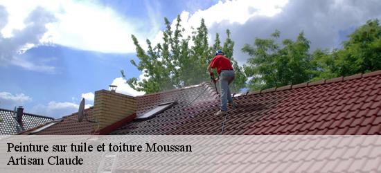 Peinture sur tuile et toiture  moussan-11120 Couverture Medou