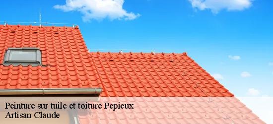 Peinture sur tuile et toiture  11700