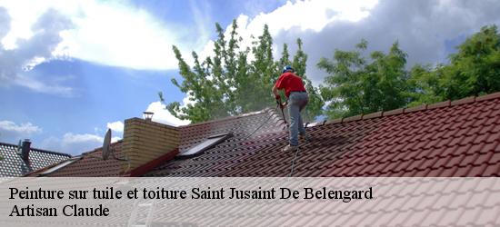 Peinture sur tuile et toiture  saint-jusaint-de-belengard-11240 Couverture Medou