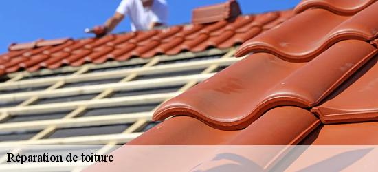 Réparation de toiture 11400