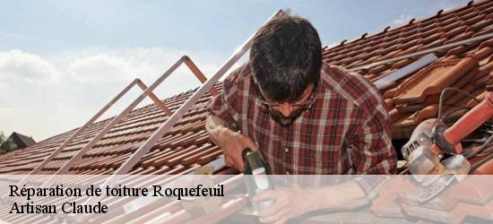 Réparation de toiture  11340