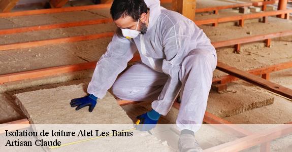 Isolation de toiture  alet-les-bains-11580 Artisan Claude