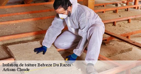 Isolation de toiture  belveze-du-razes-11240 Artisan Claude