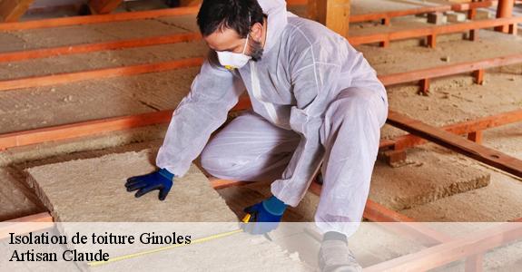 Isolation de toiture  ginoles-11500 Artisan Claude