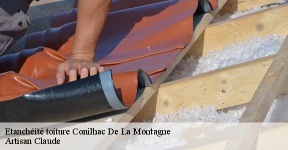 Etanchéité toiture  conilhac-de-la-montagne-11190 Artisan Claude