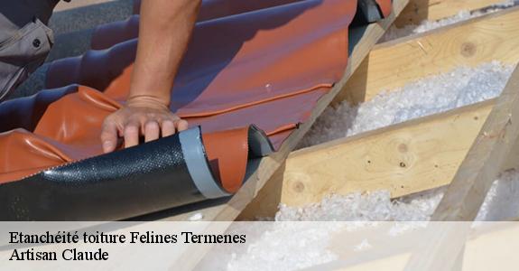 Etanchéité toiture  felines-termenes-11330 Artisan Claude