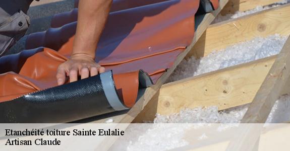 Etanchéité toiture  sainte-eulalie-11170 Artisan Claude